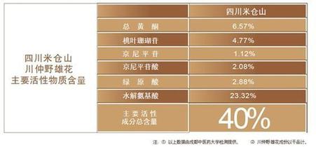 杜仲野雄花：何以珍貴?