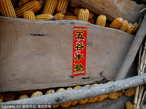 農(nóng)民工資性收入占比首超家庭經(jīng)營收入