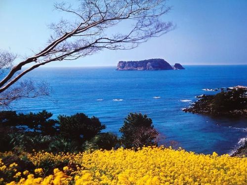 韓國濟州島成中國人投資新寵