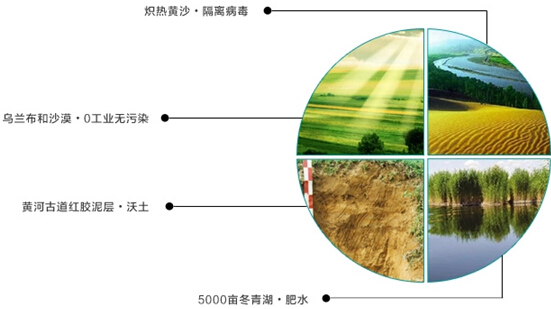 2014圣牧有機之旅•純凈啟程——見證「全程有機」純真奇跡