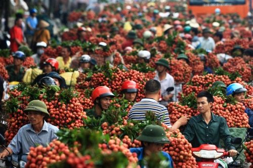 越南荔枝龍眼獲準(zhǔn)出口美國(guó)