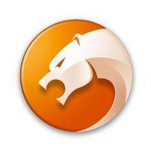 移動互聯(lián)網(wǎng)時代霸氣側(cè)漏的瀏覽器