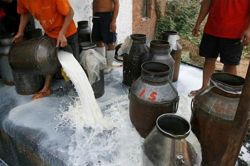 全球乳業(yè)陷困境:不只中國(guó)奶企倒奶