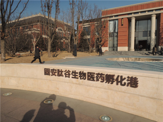 國際綠色經(jīng)濟協(xié)會赴廊坊考察交流