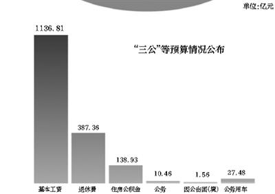 中央財(cái)政預(yù)算表今年首次曬出“工資福利”