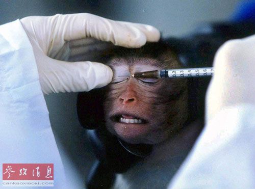 中國要求進(jìn)口化妝品動物測試 部分商家拒絕在華銷售