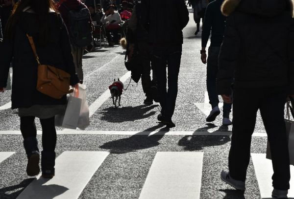 股市暴跌、日元升值致日本“安倍經(jīng)濟學”陷危機