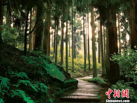 四川天臺(tái)山創(chuàng)5A景區(qū)實(shí)施改造為螢火蟲讓路