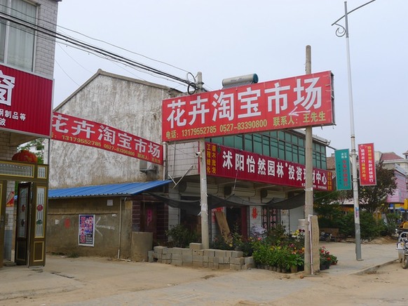 世界銀行點贊中國“淘寶村”：助農民變成企業(yè)家 應推廣至全球
