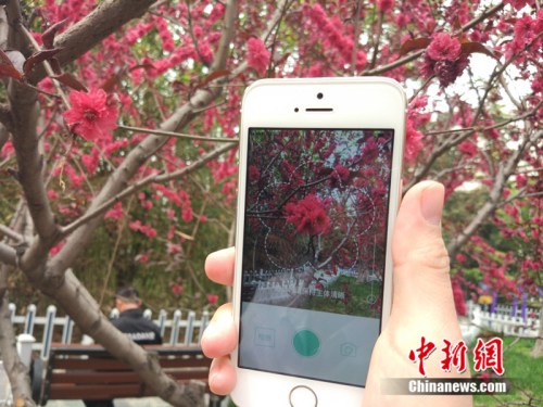 人工智能還能這么玩！識花神器讓你三秒告別“花癡”