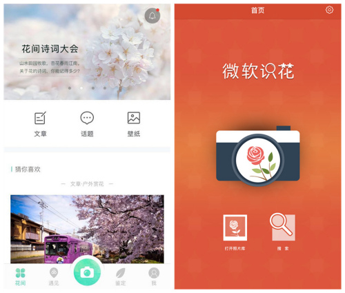 人工智能還能這么玩！識花神器讓你三秒告別“花癡”