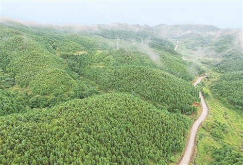全國集體林權(quán)制度改革成就綜述:山定權(quán) 生態(tài)美 百姓富