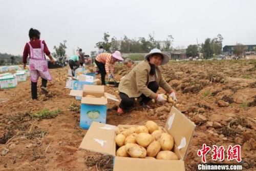 “龍蝦學院”刷屏網(wǎng)絡 還有哪些高校不走尋常路？