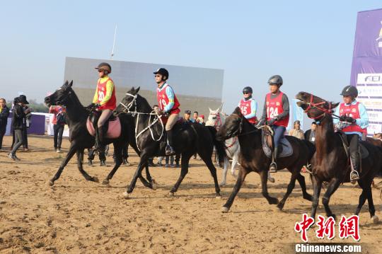 安徽碭山國際馬術(shù)耐力賽開跑 17國百余名運動員參賽