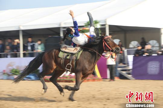 安徽碭山國際馬術(shù)耐力賽開跑 17國百余名運動員參賽