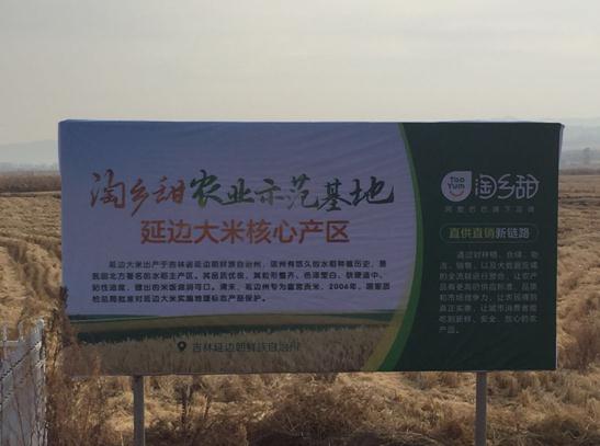 農(nóng)村淘寶全國(guó)23個(gè)示范基地掛牌 聯(lián)合天貓盒馬零售通落地新零售