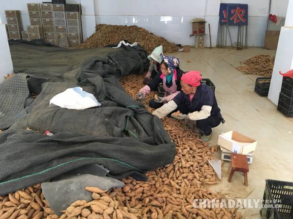 【十九大精神進央企】南方電網(wǎng)：打通扶貧的“最后一公里”