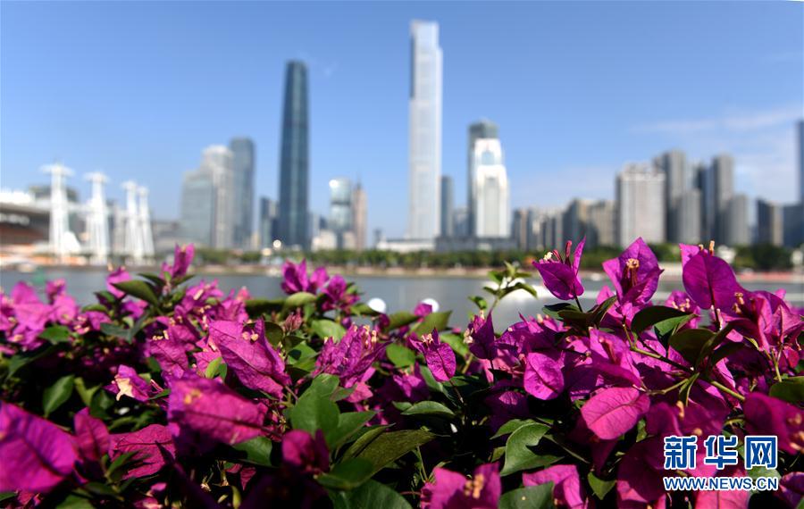 廣州：燈?；ǔ窍蚴澜缯故?#8220;財富美”