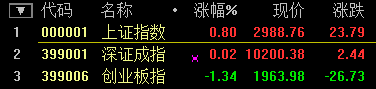 滬指尾盤翻綠跌超1% 深成指跌破1萬點(diǎn) 創(chuàng)業(yè)板大跌超5%