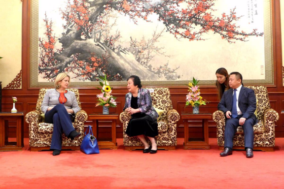 趙白鴿會(huì)見英國(guó)能源與氣候變化大臣安伯•拉德