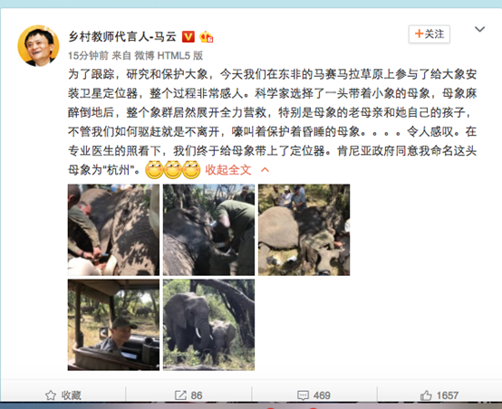 有只遠在非洲的大象，馬云將它命名為“杭州”