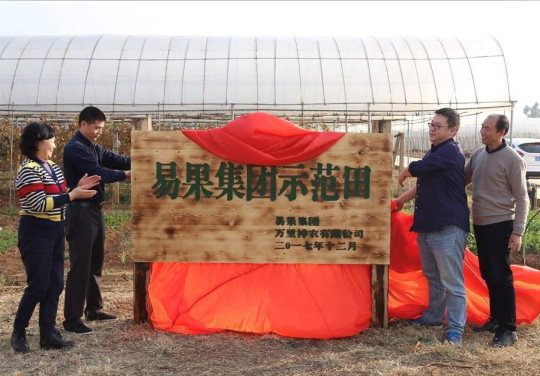 易果集團在云南紅河啟動首個示范田項目